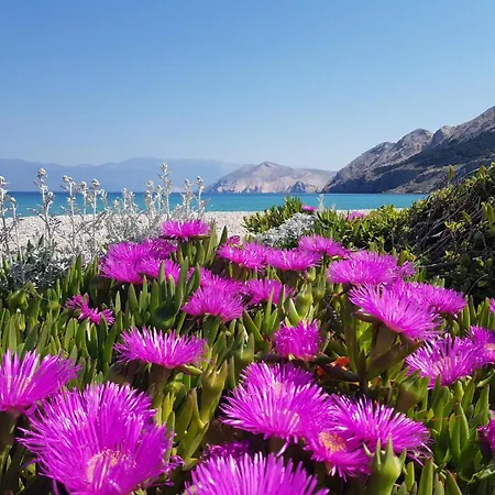 Maison d'hôtes Brnic Baška